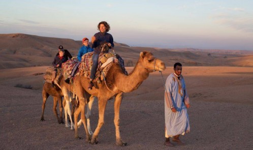Experiência de passeio de camelo no pôr do sol no deserto rochoso de Agafay