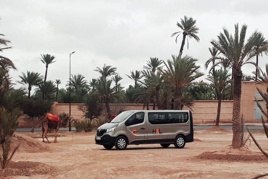 Passeio de buggy em Marrakech Palmeraie