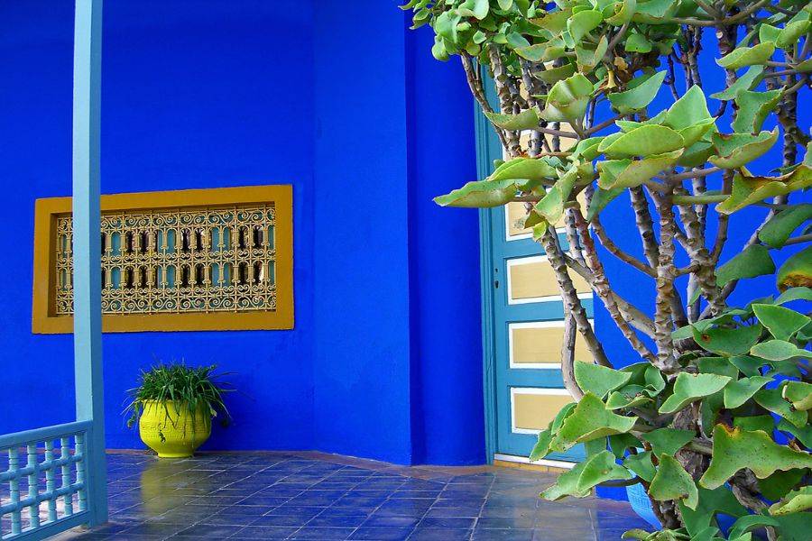 Jardim Majorelle com passeio de camelo nas palmeiras