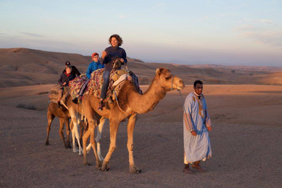 Experiência de passeio de camelo no pôr do sol no deserto rochoso de Agafay