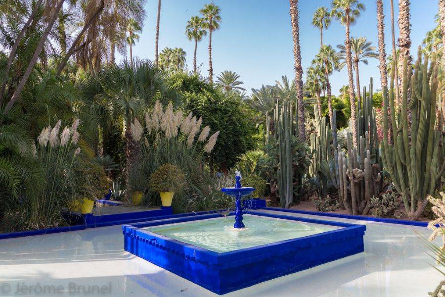 Jardim Majorelle com passeio de camelo nas palmeiras