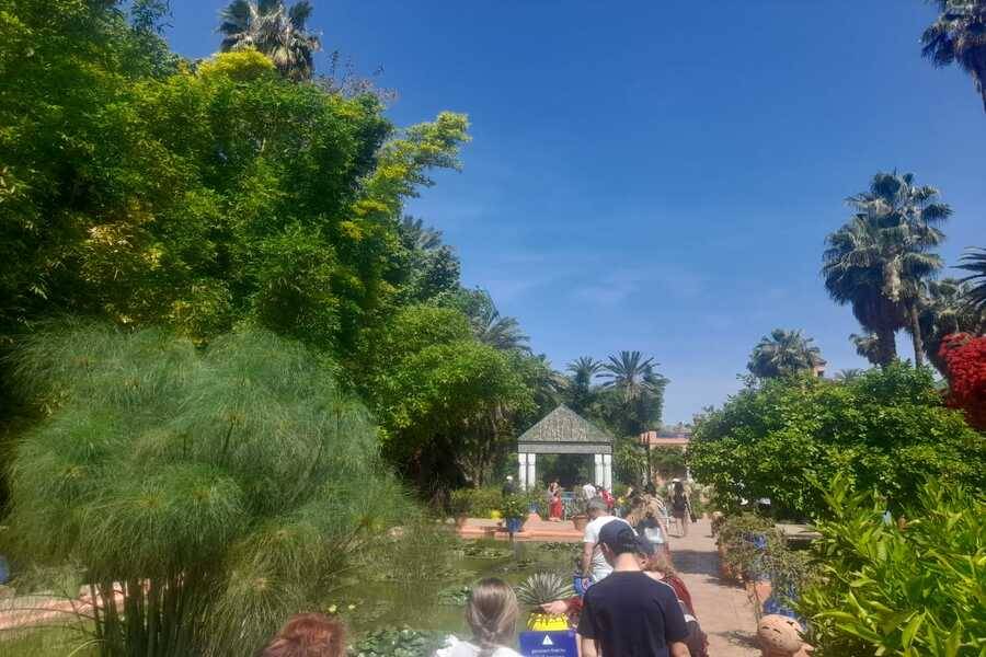 Um belo passeio com carruagem e visite o Jardim Majorelle