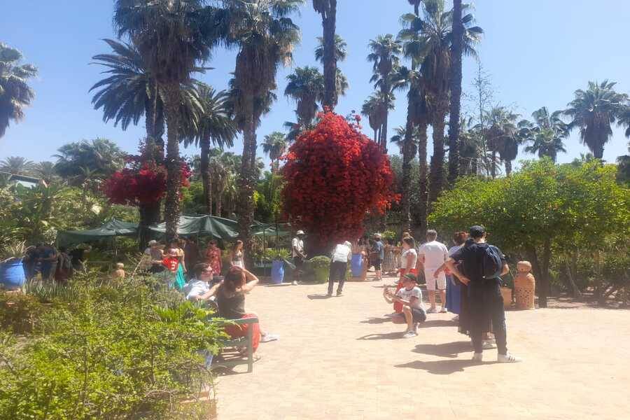 Um belo passeio com carruagem e visite o Jardim Majorelle