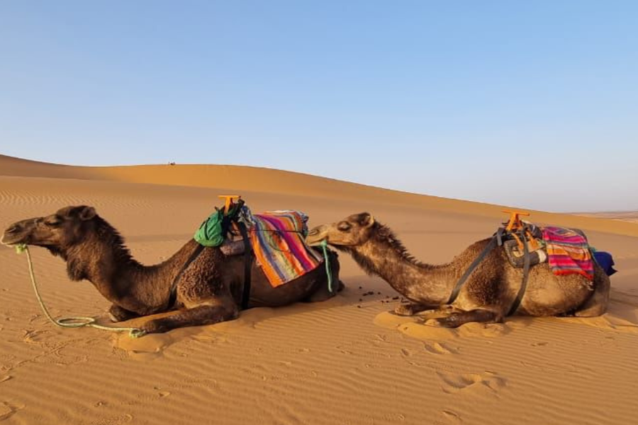Experiência de três dias no deserto de Fes a Marrakech