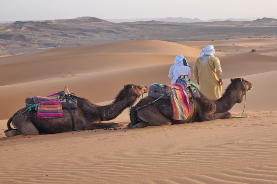 Experiência de três dias no deserto de Fes a Marrakech