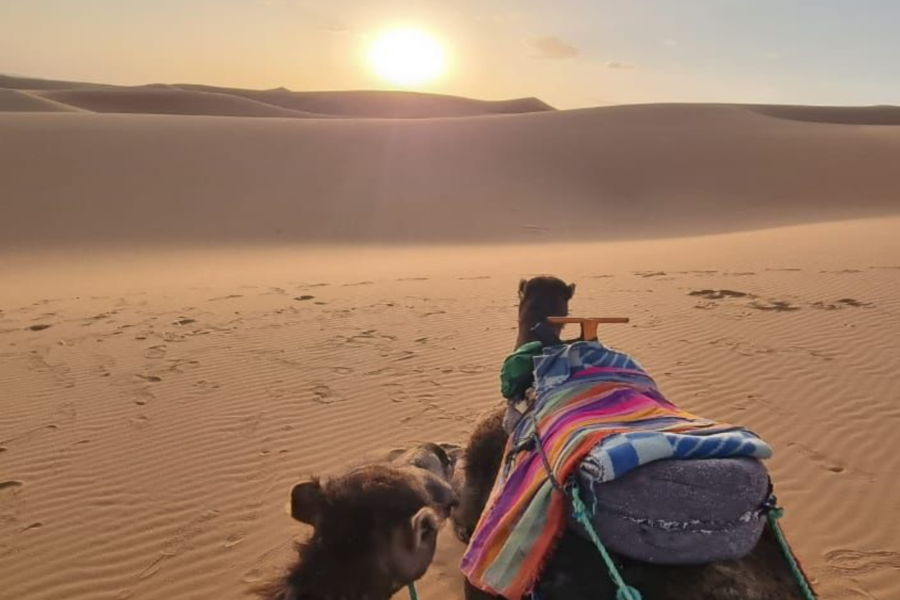 Experiência de três dias no deserto de Fes a Marrakech