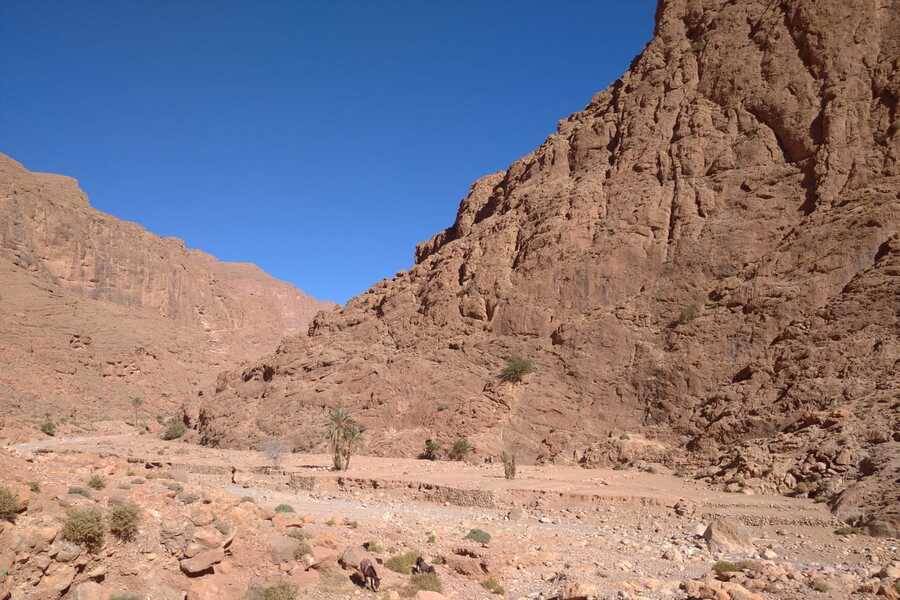 Excursão particular no deserto de Merzouga em meia pensão com partida de Casablanca
