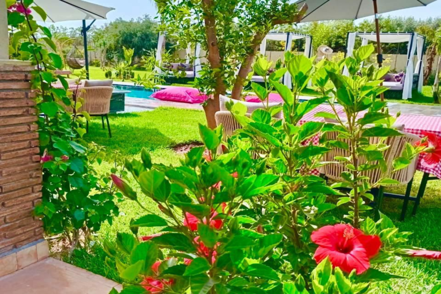 Passe de um dia em Marraquexe com piscina, incluindo almoço e transporte - Relaxar