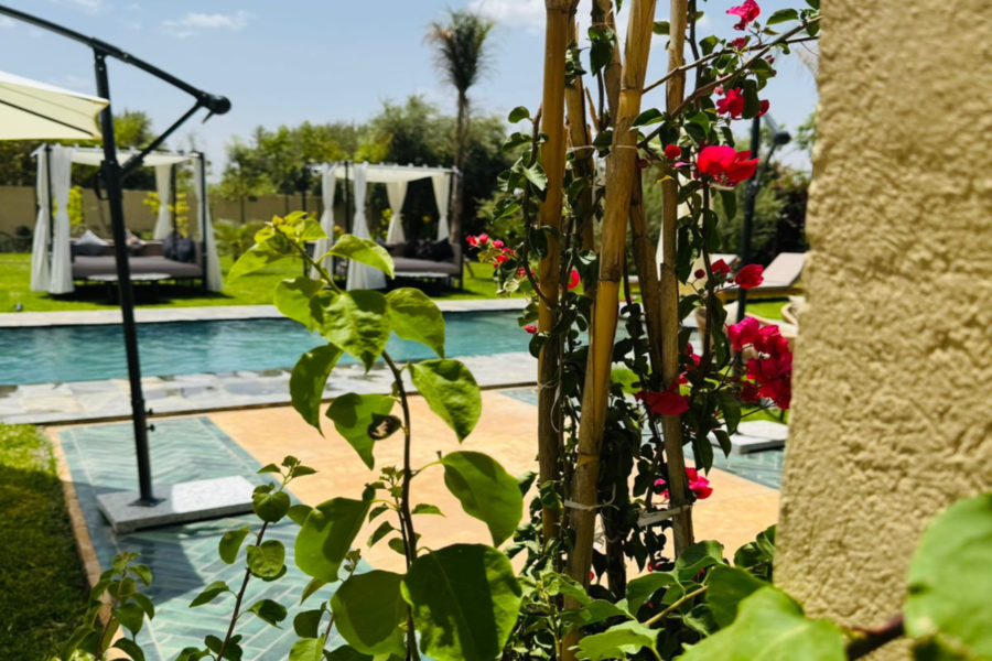 Passe de um dia em Marraquexe com piscina, incluindo almoço e transporte - Relaxar