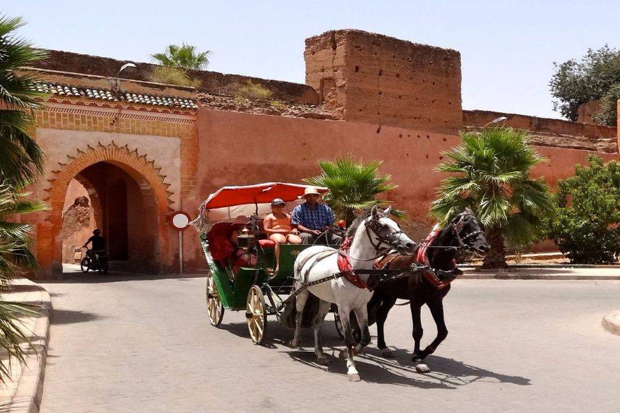Carruagem de cavalo bonito em Marrakech