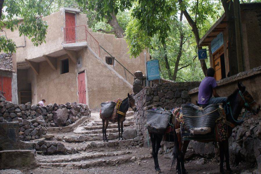 Excursão Kik Plateau, Takerkoust e Imlil de Marrakech
