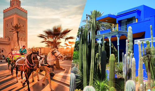 Um belo passeio com carruagem e visite o Jardim Majorelle