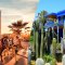 Um belo passeio com carruagem e visite o Jardim Majorelle