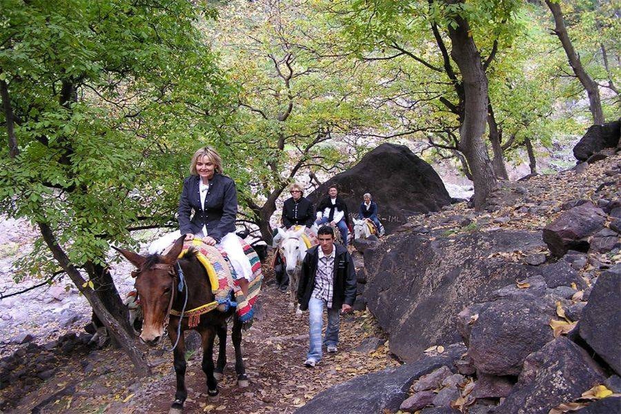 Excursão Kik Plateau, Takerkoust e Imlil de Marrakech