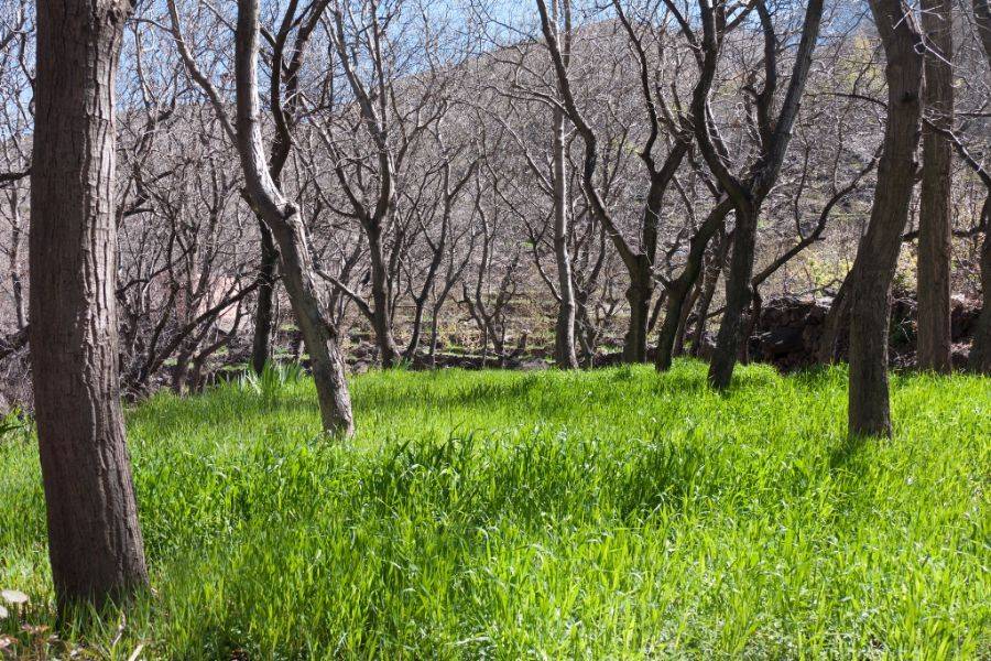 Excursão Kik Plateau, Takerkoust e Imlil de Marrakech