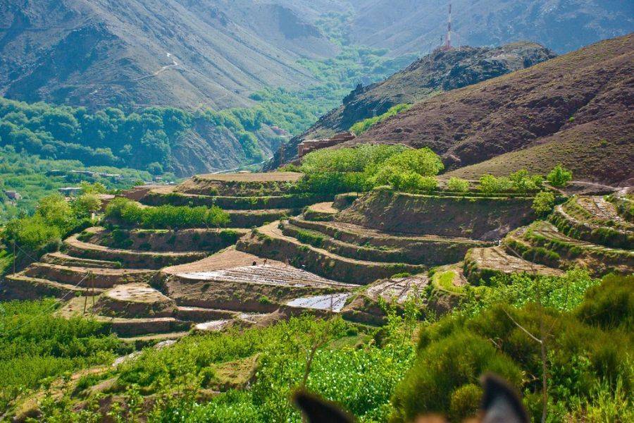 Excursão Kik Plateau, Takerkoust e Imlil de Marrakech