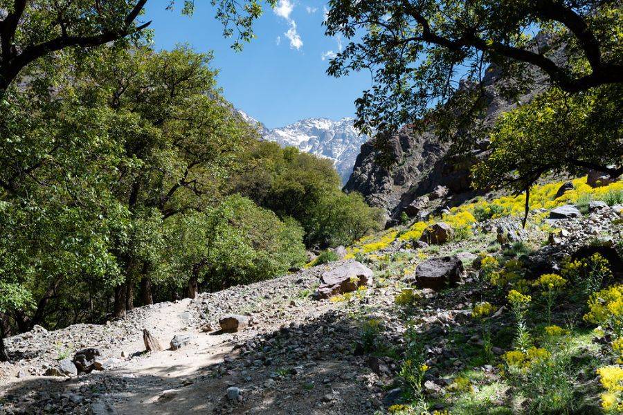 Excursão Kik Plateau, Takerkoust e Imlil de Marrakech