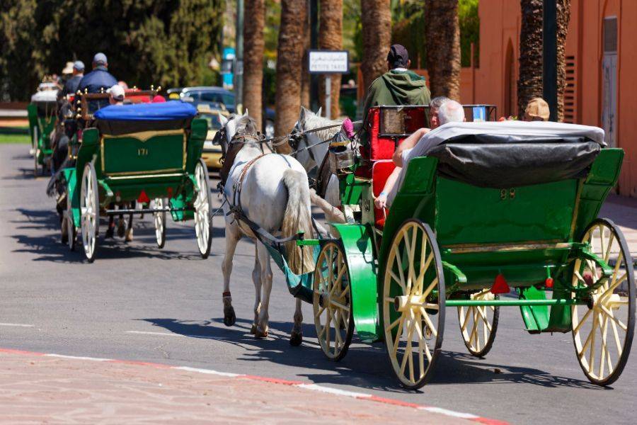 Um belo passeio com carruagem e visite o Jardim Majorelle