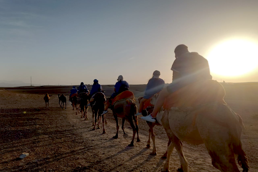 Experiência de passeio de camelo no pôr do sol no deserto rochoso de Agafay