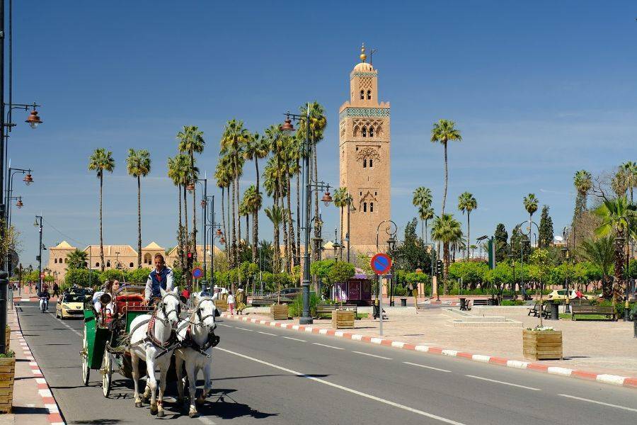 Jardins Históricos e Muralhas de Marrakech