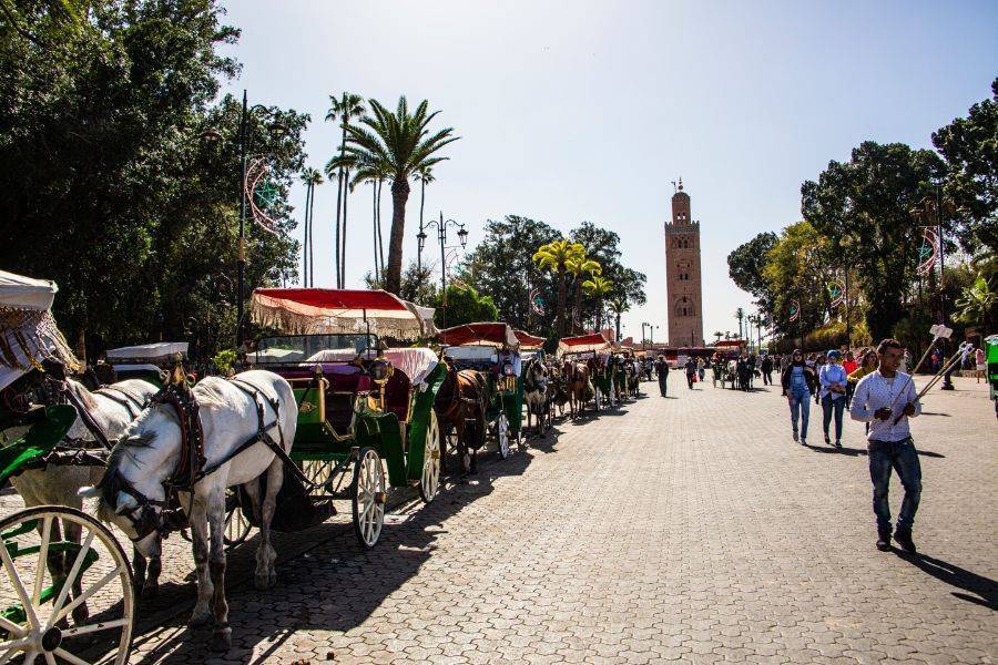 Um belo passeio com carruagem e visite o Jardim Majorelle