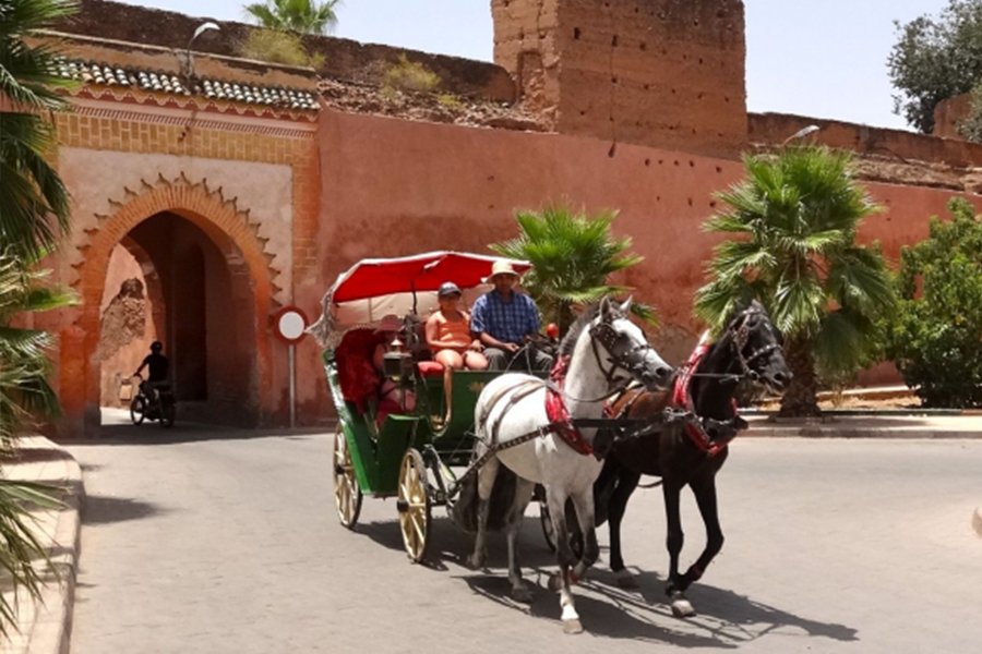Um belo passeio com carruagem e visite o Jardim Majorelle