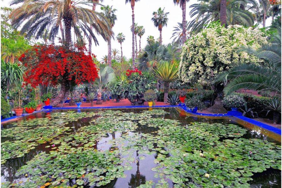 Jardim Majorelle com passeio de camelo nas palmeiras