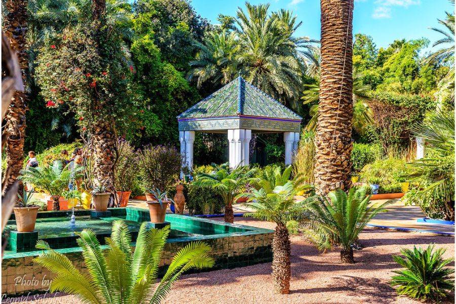 Jardim Majorelle com passeio de camelo nas palmeiras