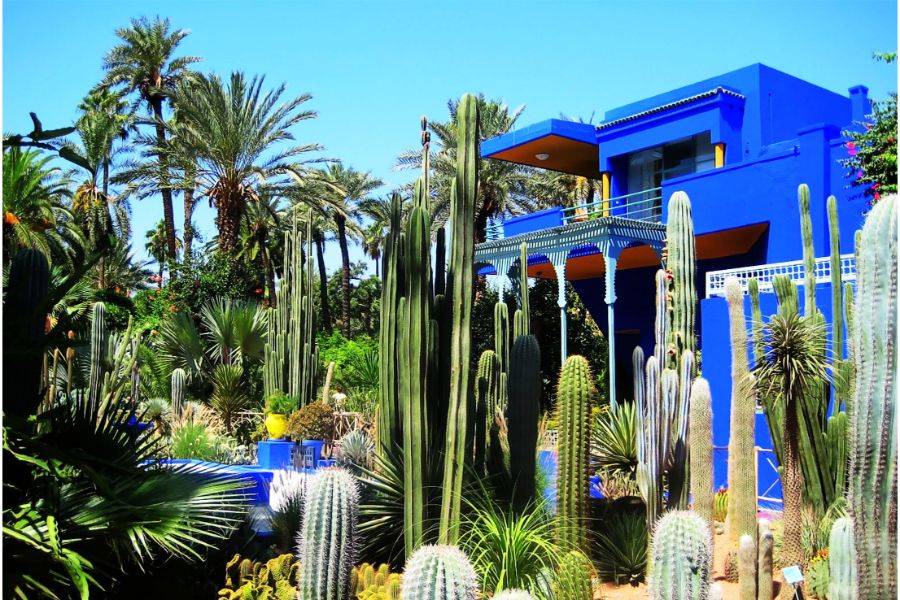 Jardim Majorelle com passeio de camelo nas palmeiras