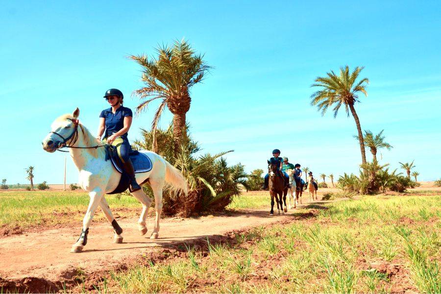 Passeio a cavalo em Marrakech Palmeraie