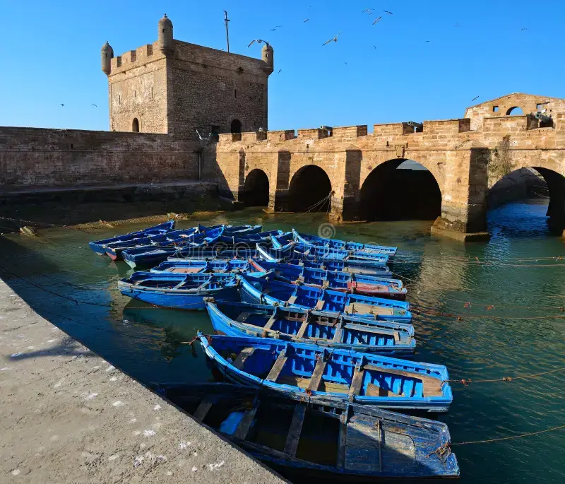 Excursão de um dia a Essaouira 