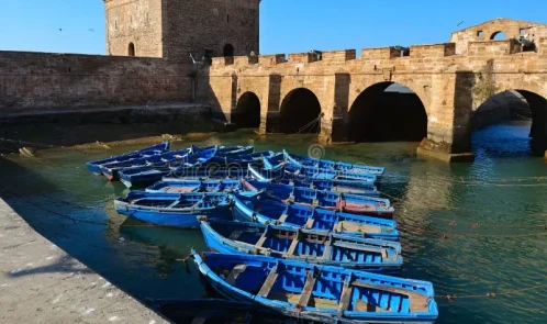 Excursão de um dia a Essaouira 
