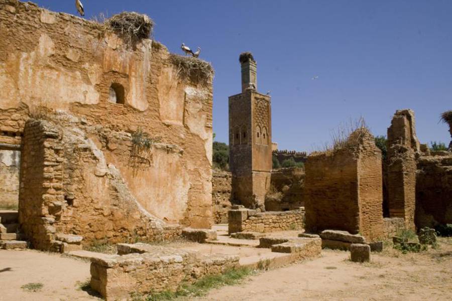 Viagem de um dia particular a Rabat saindo de Casablanca