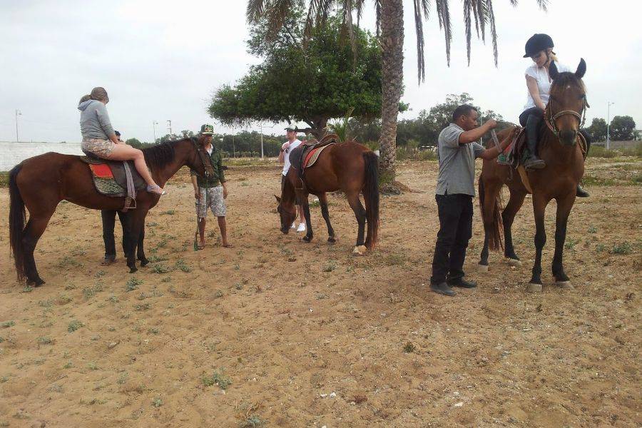 Passeio a cavalo em Marrakech Palmeraie