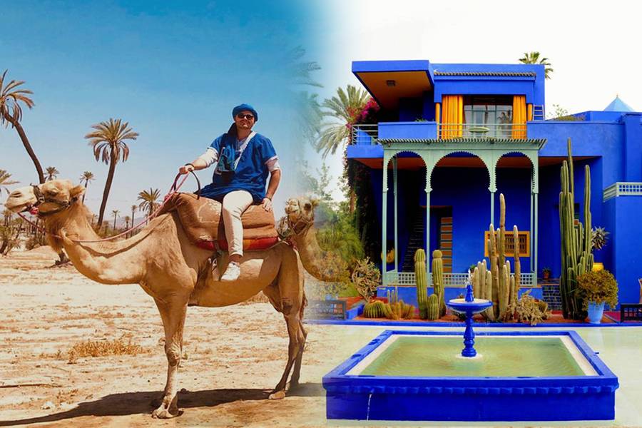 Jardim Majorelle com passeio de camelo nas palmeiras
