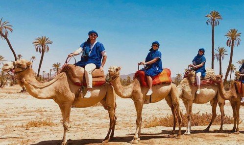 Passeio de camelo no Palmeraie de Marrakech