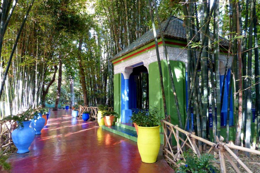 Jardim Majorelle com passeio de camelo nas palmeiras