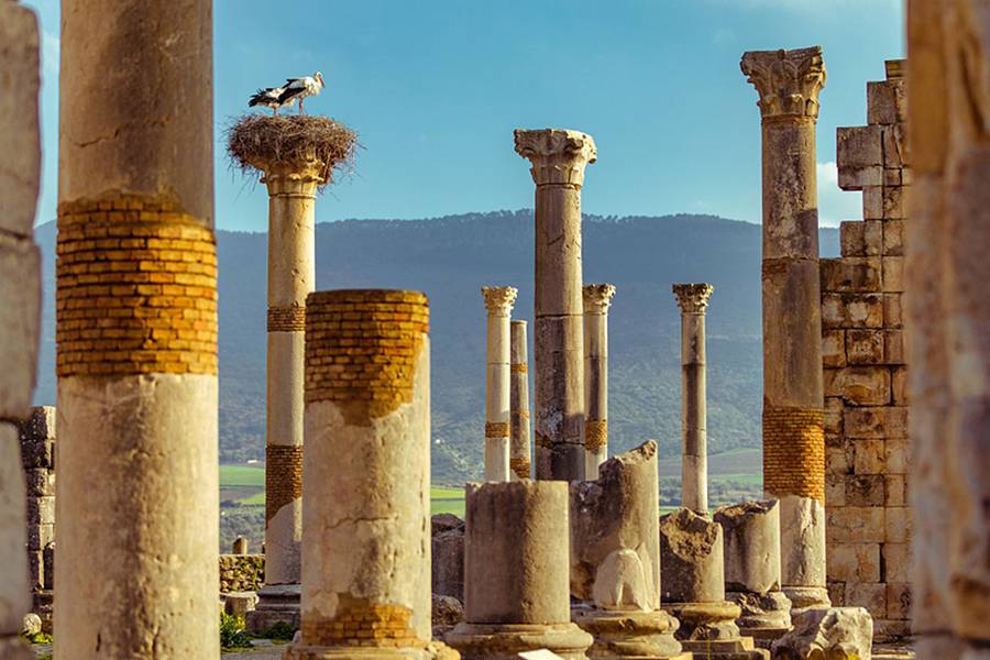 Viagem de 7 dias para as cidades imperiais de Casablanca