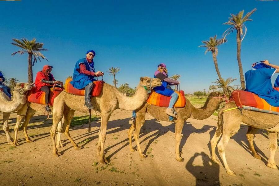 Passeio de camelo e moto-quatro e tratamento de spa e hammam