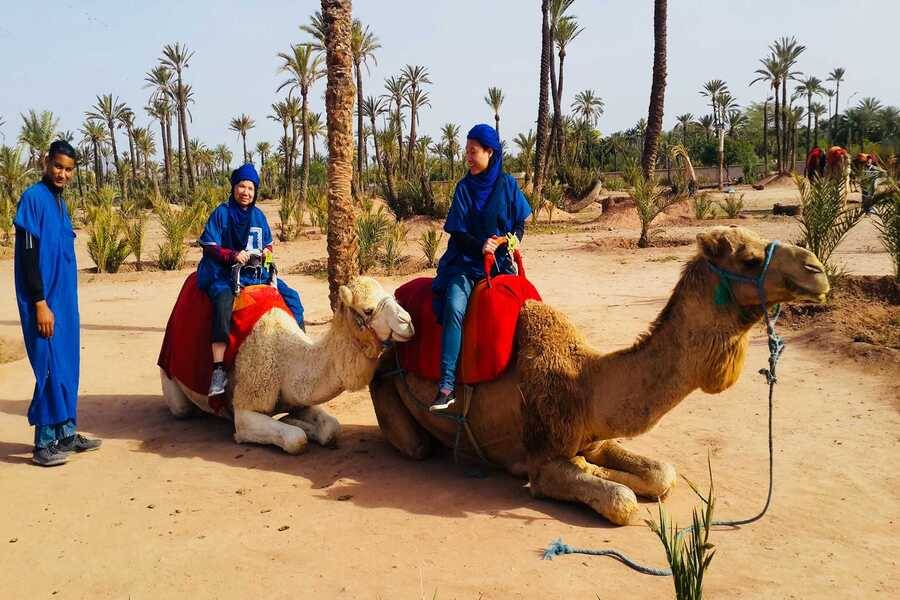 Passeio de camelo e moto-quatro e tratamento de spa e hammam