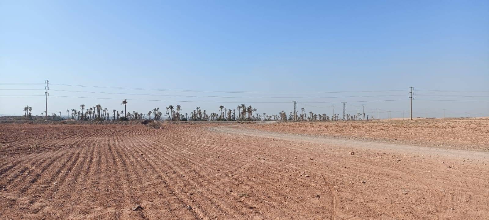 Passeios de bicicleta em Palmeraie Marrakech meio dia