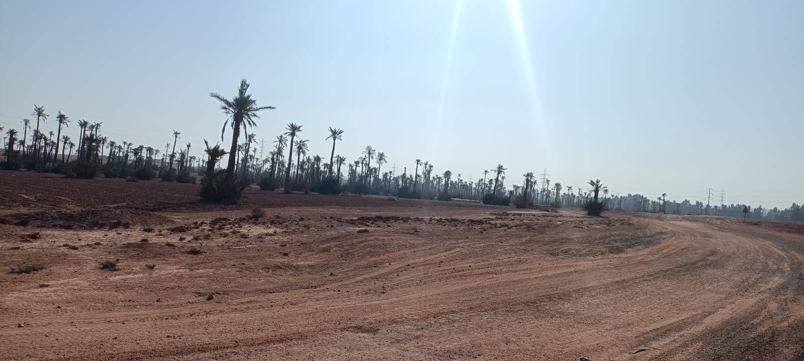 Passeios de bicicleta em Palmeraie Marrakech meio dia