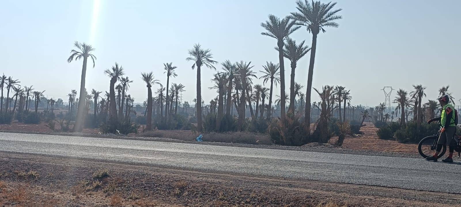 Passeios de bicicleta em Palmeraie Marrakech meio dia