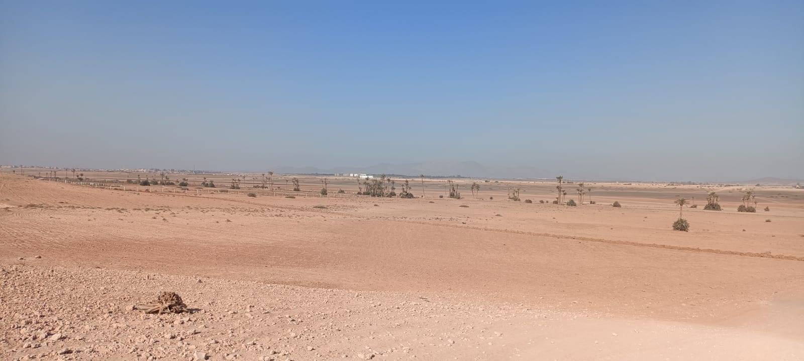 Passeios de bicicleta em Palmeraie Marrakech meio dia