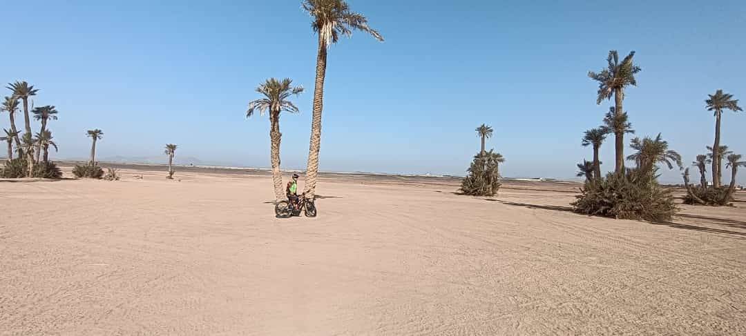 Passeios de bicicleta em Palmeraie Marrakech meio dia