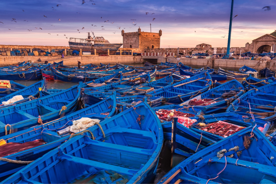 Excursão de um dia a Essaouira 